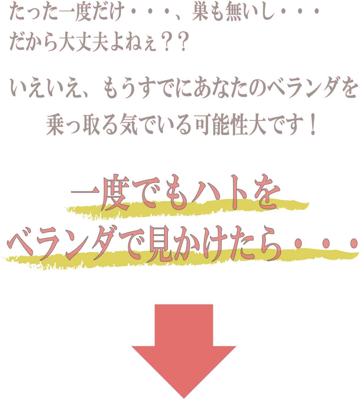 ハトはすでにあなたのベランダを乗っ取る気でいる可能性大です！なので一度でもハトを見かけたら・・・